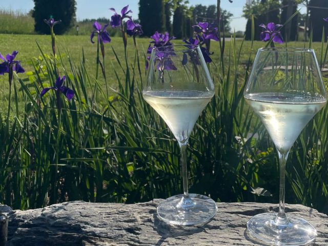 Wenn das Leben dir Sonne gibt – bestell einen Drink!