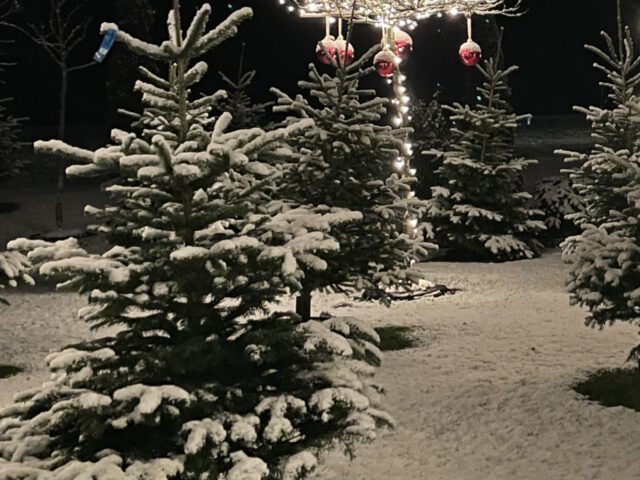 Erster Schnee, erstes Kribbeln und modische Highlights