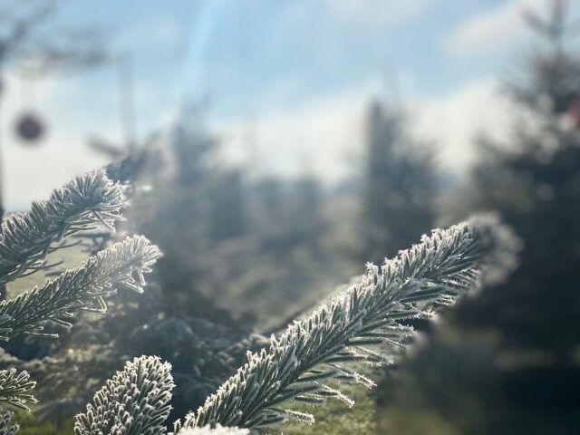 Wenn schon kein Winterwunderland – dann eben Wohlfühlzeit