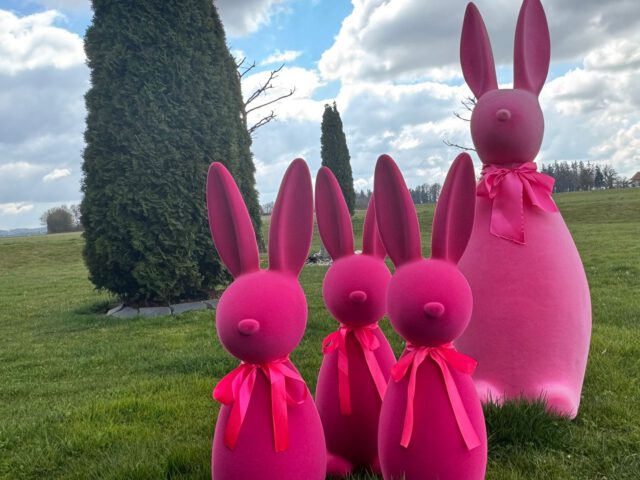 Die Hasen sind da. Wo sind die Nester?